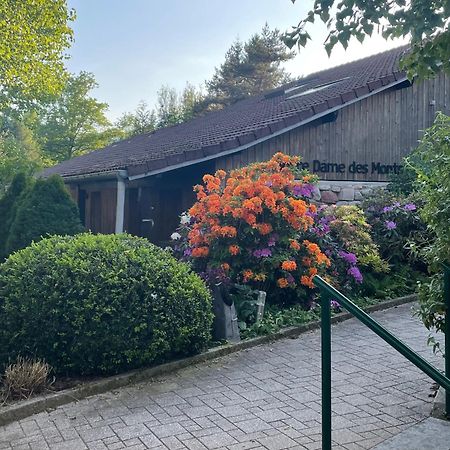 Hotel Notre Dame Des Monts Ban-sur-Meurthe-Clefcy Exterior foto