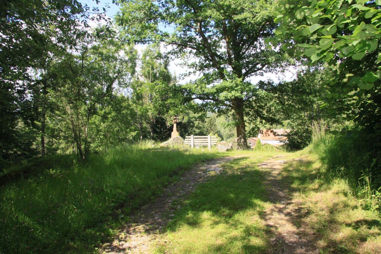 Hotel Notre Dame Des Monts Ban-sur-Meurthe-Clefcy Exterior foto